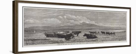 Cattle on the Sands, Near Port Madoc, North Wales-Henry Brittan Willis-Framed Giclee Print