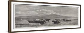 Cattle on the Sands, Near Port Madoc, North Wales-Henry Brittan Willis-Framed Giclee Print