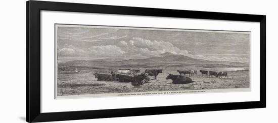 Cattle on the Sands, Near Port Madoc, North Wales-Henry Brittan Willis-Framed Giclee Print