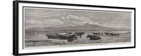 Cattle on the Sands, Near Port Madoc, North Wales-Henry Brittan Willis-Framed Giclee Print