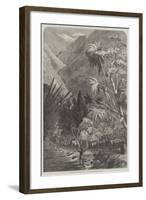 Cattle on their Way to Tamatave, Madagascar-null-Framed Giclee Print