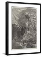 Cattle on their Way to Tamatave, Madagascar-null-Framed Giclee Print