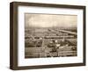 Cattle Pens at the Union Stockyards, Chicago, 1890s-null-Framed Giclee Print