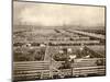 Cattle Pens at the Union Stockyards, Chicago, 1890s-null-Mounted Giclee Print