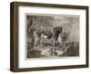 Cattle Piece-null-Framed Giclee Print