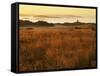 Cattle Point Lighthouse, San Juan Island National Historical Park, Washington, USA-Charles Gurche-Framed Stretched Canvas