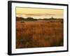 Cattle Point Lighthouse, San Juan Island National Historical Park, Washington, USA-Charles Gurche-Framed Photographic Print