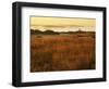 Cattle Point Lighthouse, San Juan Island National Historical Park, Washington, USA-Charles Gurche-Framed Photographic Print