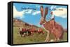 Cattle Punching on a Giant Jack Rabbit-null-Framed Stretched Canvas