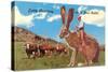 Cattle Punching on a Giant Jack Rabbit-null-Stretched Canvas