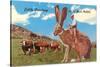 Cattle Punching on a Giant Jack Rabbit-null-Stretched Canvas