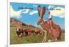 Cattle Punching on a Giant Jack Rabbit-null-Framed Art Print