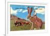 Cattle Punching on a Giant Jack Rabbit-null-Framed Premium Giclee Print