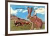 Cattle Punching on a Giant Jack Rabbit-null-Framed Premium Giclee Print