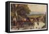 Cattle Returning to the Farm from Pasture-Birket Foster-Framed Stretched Canvas