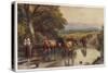 Cattle Returning to the Farm from Pasture-Birket Foster-Stretched Canvas