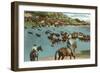 Cattle Round-Up, Montana-null-Framed Art Print