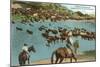 Cattle Round-Up, Montana-null-Mounted Art Print