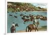 Cattle Round-Up, Montana-null-Framed Art Print