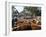 Cattle Sale in Victorian Alps, Victoria, Australia-Claire Leimbach-Framed Photographic Print