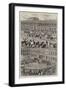 Cattle Show at Halifax-null-Framed Giclee Print