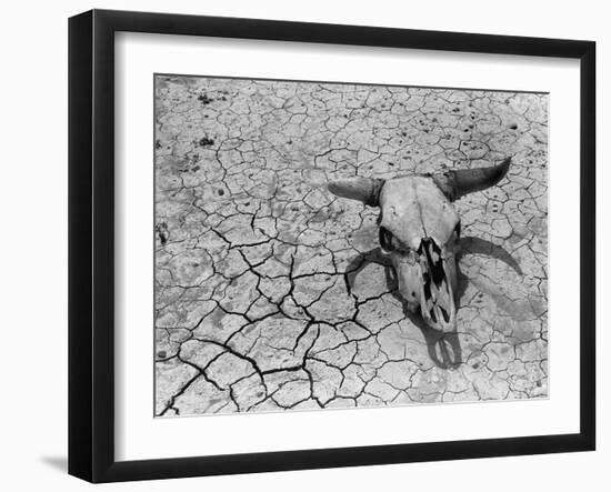 Cattle Skull on the Parched Earth-Arthur Rothstein-Framed Premium Photographic Print