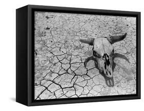 Cattle Skull on the Parched Earth-Arthur Rothstein-Framed Stretched Canvas
