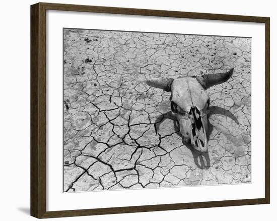 Cattle Skull on the Parched Earth-Arthur Rothstein-Framed Photographic Print