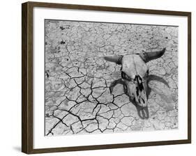 Cattle Skull on the Parched Earth-Arthur Rothstein-Framed Photographic Print