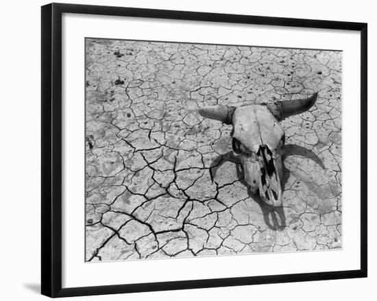 Cattle Skull on the Parched Earth-Arthur Rothstein-Framed Photographic Print