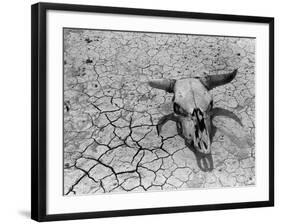 Cattle Skull on the Parched Earth-Arthur Rothstein-Framed Photographic Print