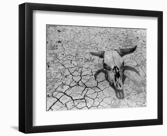 Cattle Skull on the Parched Earth-Arthur Rothstein-Framed Photographic Print