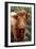 Cattle, Skye, Highland, Scotland-Peter Thompson-Framed Photographic Print