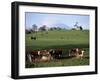 Cattle, South of Bray, County Wicklow, Leinster, Eire (Republic of Ireland)-Michael Short-Framed Photographic Print