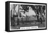 Cattle Station Homestead, Australia, 1928-null-Framed Stretched Canvas