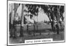 Cattle Station Homestead, Australia, 1928-null-Mounted Giclee Print