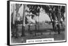 Cattle Station Homestead, Australia, 1928-null-Framed Stretched Canvas