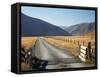 Cattle Stop and Gravel Road, Ahuriri Valley, North Otago, South Island, New Zealand-David Wall-Framed Stretched Canvas