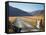 Cattle Stop and Gravel Road, Ahuriri Valley, North Otago, South Island, New Zealand-David Wall-Framed Stretched Canvas