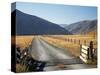 Cattle Stop and Gravel Road, Ahuriri Valley, North Otago, South Island, New Zealand-David Wall-Stretched Canvas