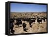 Cattle Transhumance, Spain-Robin Hanbury-tenison-Framed Stretched Canvas