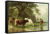 Cattle Watering in a River Landscape, 19th Century-Friedrich Voltz-Framed Stretched Canvas