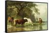 Cattle Watering in a River Landscape, 19th Century-Friedrich Voltz-Framed Stretched Canvas