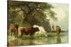 Cattle Watering in a River Landscape, 19th Century-Friedrich Voltz-Stretched Canvas