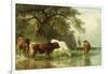 Cattle Watering in a River Landscape, 19th Century-Friedrich Voltz-Framed Giclee Print