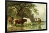 Cattle Watering in a River Landscape, 19th Century-Friedrich Voltz-Framed Giclee Print