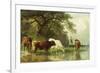 Cattle Watering in a River Landscape, 19th Century-Friedrich Voltz-Framed Giclee Print