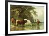 Cattle Watering in a River Landscape, 19th Century-Friedrich Voltz-Framed Giclee Print