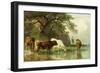 Cattle Watering in a River Landscape, 19th Century-Friedrich Voltz-Framed Giclee Print