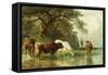 Cattle Watering in a River Landscape, 19th Century-Friedrich Voltz-Framed Stretched Canvas